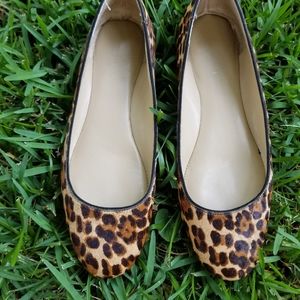 Ann Taylor Leopard flats size 7&1/2